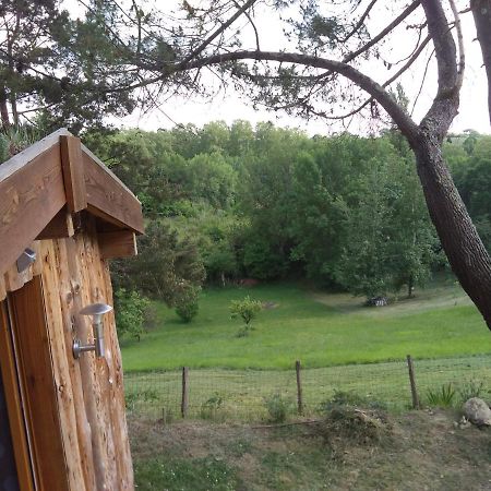 La cabane en bois Villemur-sur-Tarn Exterior foto