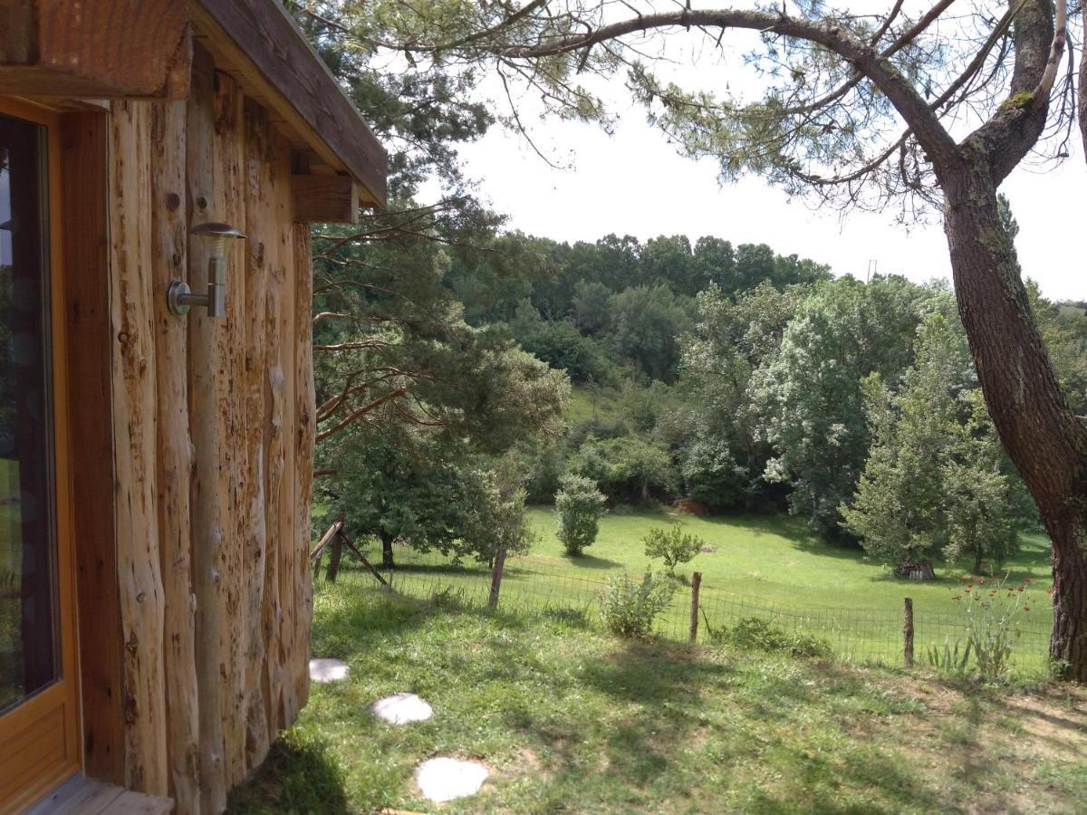 La cabane en bois Villemur-sur-Tarn Exterior foto