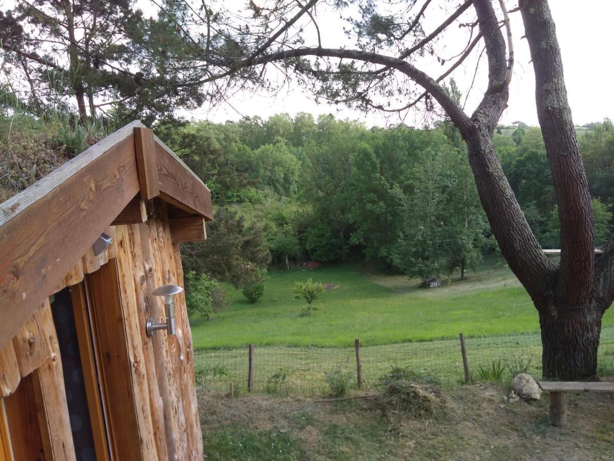 La cabane en bois Villemur-sur-Tarn Exterior foto