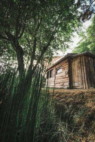 La cabane en bois Villemur-sur-Tarn Exterior foto